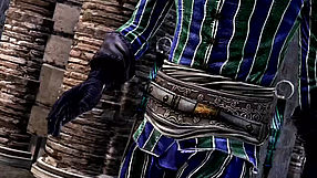 Assassin's Creed: Brotherhood Harlequin