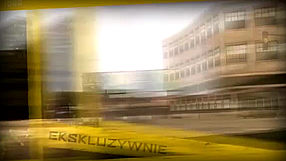 Driver: San Francisco Edycja Kolekcjonerska (PL)