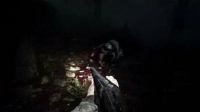 Pine Harbor - zwiastun Wczesnego Dostępu