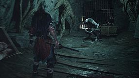 Echoes of Yi: Samsara - zwiastun rozgrywki