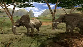 Safari Photo Africa: Wild Earth #1