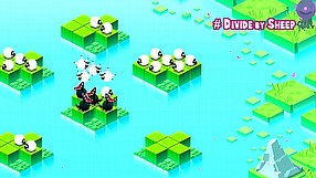 Divide by Sheep trailer