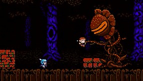 Castle in the Darkness trailer