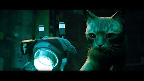 Stray - zwiastun wersji na Nintendo Switch