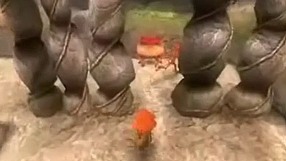 Arthur and the Invisibles [ETAP VIII] Lost in the Seven Lands - I cz.4.2