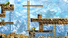 Braid Fickle Companion