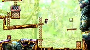 Braid Crossing The Gap