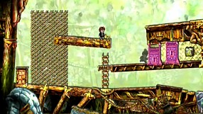 Braid Fragile Companion