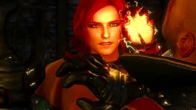 The Witcher 3: Wild Hunt Epic Year for the Witcher