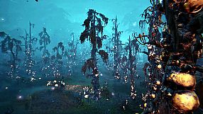 Windrose - zwiastun premierowy wczesnego dostępu