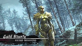 Guild Wars 2 Guild Missions