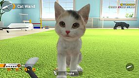 Little Friends: Dogs & Cats zwiastun #1