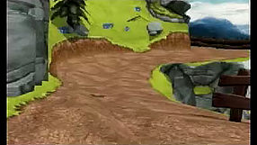 Champion Sheep Rally #1