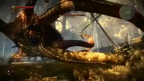 The Witcher 2: Assassins of Kings Kejran (krok 5)