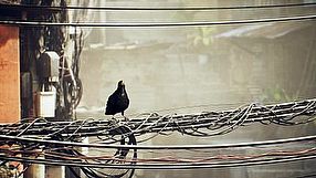 Virtua Fighter 6 - zwiastun z The Game Awards 2024