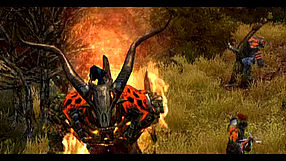 SpellForce 2: Shadow Wars #1
