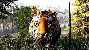 Far Cry 4 Nvidia GameWorks (PL)