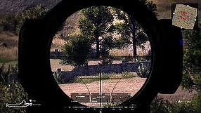 Call to Arms tryb FPP