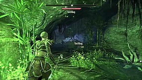 The Elder Scrolls Online rozgrywka na PlayStation 4 Pro