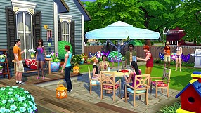 The Sims 4 Sprzet podwórkowy