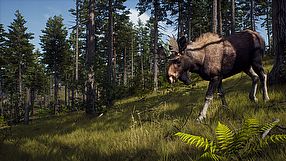 Way of the Hunter zwiastun #3