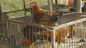 Far Cry 4 dziennik dewelopera #1