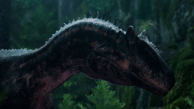 [7:19] - gameplay #1