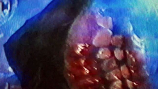 [1:11] - Launch Trailer