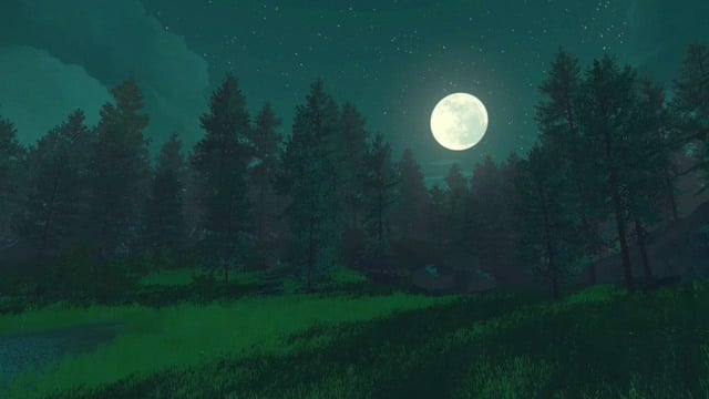 [0:42] Ambience