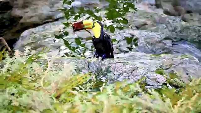 [0:50] - zwiastun premierowy