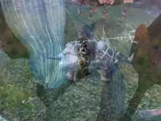 [0:30] Wierzchowce
