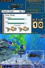 fish tycoon 2 cheats breeding chart