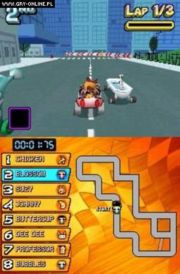 Cartoon Network Racing PS2, NDS 