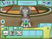 catz pc game free