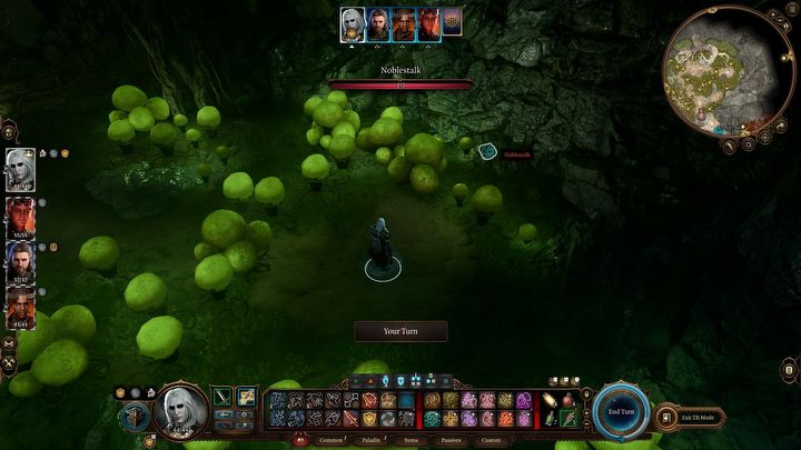 4 - Baldurs Gate 3: Znajdź grzybiarza - Baldurs Gate 3 - poradnik do gry