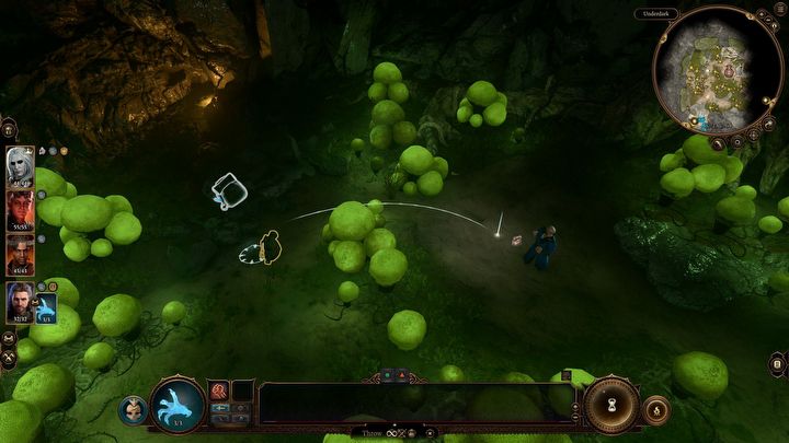 3 - Baldurs Gate 3: Znajdź grzybiarza - Baldurs Gate 3 - poradnik do gry