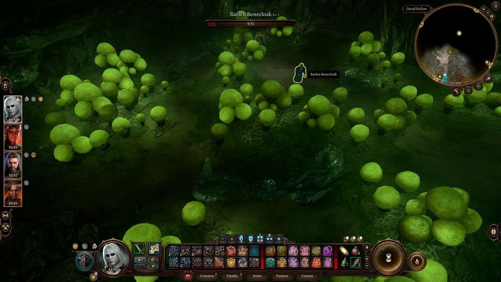 2 - Baldurs Gate 3: Znajdź grzybiarza - Baldurs Gate 3 - poradnik do gry