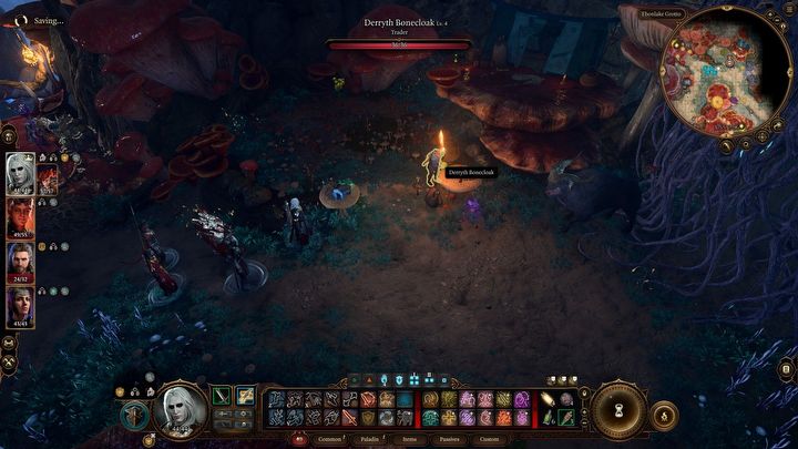 1 - Baldurs Gate 3: Znajdź grzybiarza - Baldurs Gate 3 - poradnik do gry