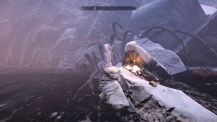 11 - Tainted Grail: Romanse - Tainted Grail - poradnik i mapa