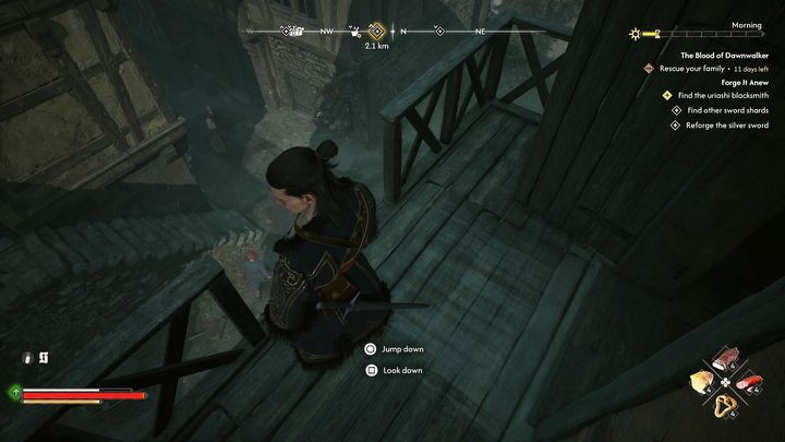 5 - Dawnwalker: Dlaczego miasto Svartrau jest zamknięte? - The Blood of Dawnwalker - poradnik do gry