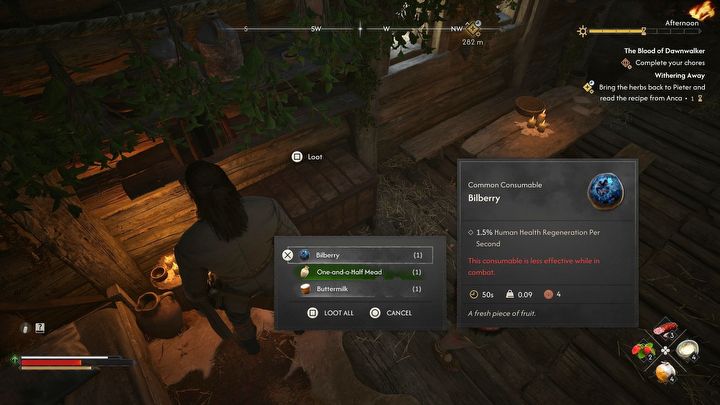3 - Dawnwalker: Jak kraść i jakie są kary za złamanie prawa? - The Blood of Dawnwalker - poradnik do gry