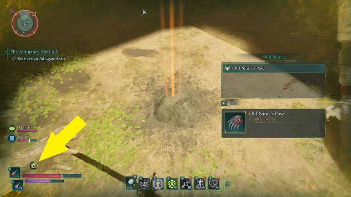 1 - Avowed: Jak się wyleczyć z trucizny? - Avowed - poradnik do gry