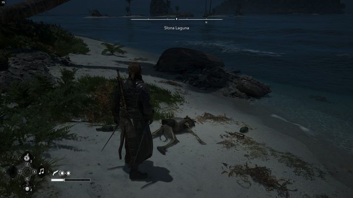 20 - Black Flag Resynced: Wszystkie mapy skarbów - AC Black Flag Resynced - poradnik do gry