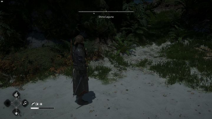 19 - Black Flag Resynced: Wszystkie mapy skarbów - AC Black Flag Resynced - poradnik do gry