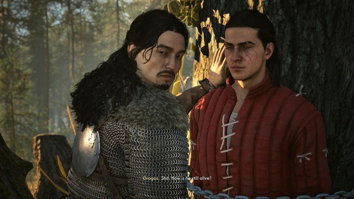 4 - Dawnwalker: Romanse - The Blood of Dawnwalker - poradnik do gry
