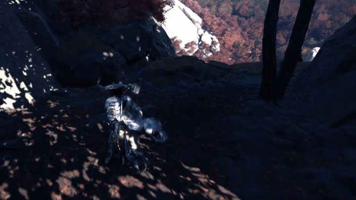 7 - Ghost of Yotei: Gdzie są kwiaty przebaczenia? - Ghost of Yotei - poradnik do gry