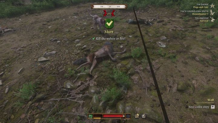 43 - Kingdom Come Deliverance 2: Gdzie jest pies (Orzech)? - Kingdom Come Deliverance 2 - poradnik do gry