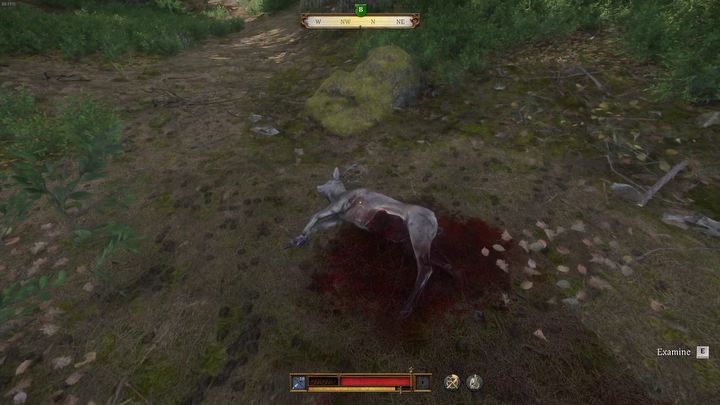 38 - Kingdom Come Deliverance 2: Gdzie jest pies (Orzech)? - Kingdom Come Deliverance 2 - poradnik do gry