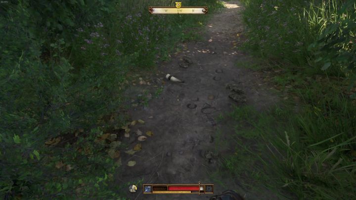 28 - Kingdom Come Deliverance 2: Gdzie jest pies (Orzech)? - Kingdom Come Deliverance 2 - poradnik do gry