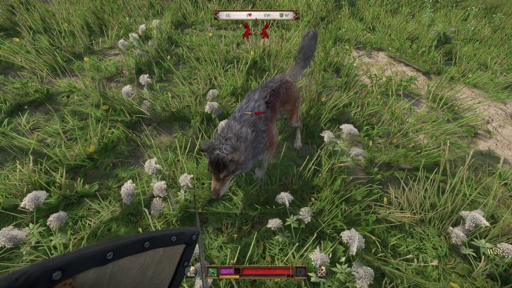 15 - Kingdom Come Deliverance 2: Gdzie jest pies (Orzech)? - Kingdom Come Deliverance 2 - poradnik do gry